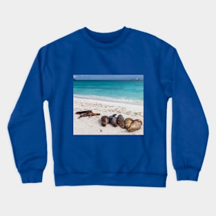 Sea Lions Resting on Galapagos Beach Crewneck Sweatshirt